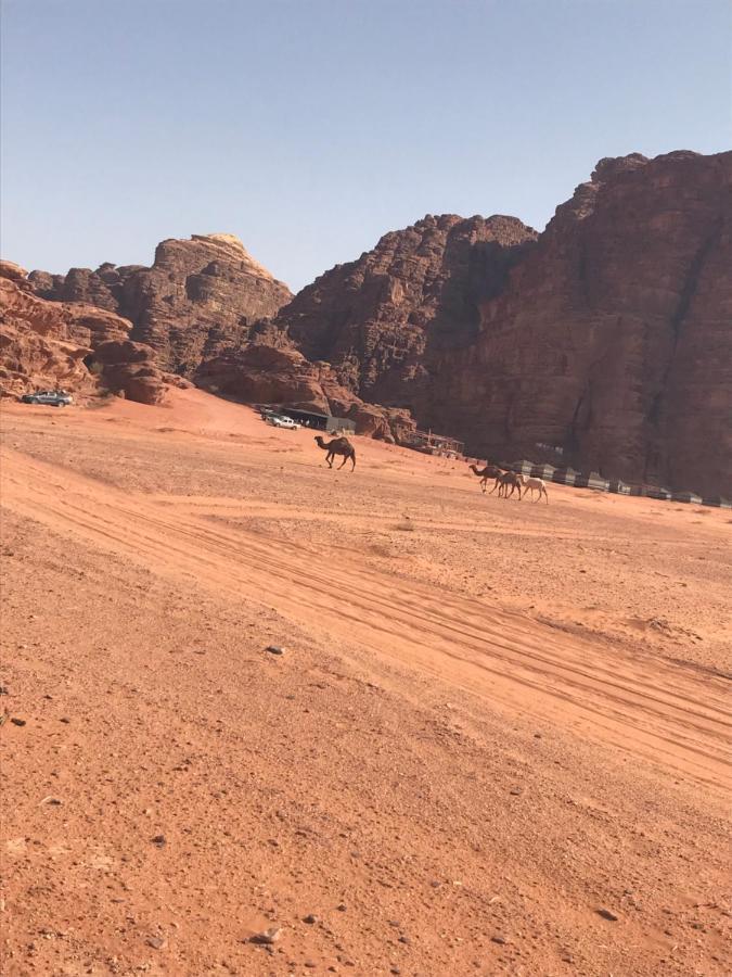 מלון וואדי רם Bedouin House Camp מראה חיצוני תמונה