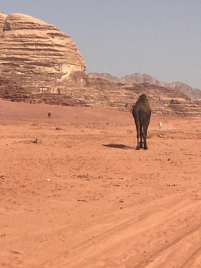 מלון וואדי רם Bedouin House Camp מראה חיצוני תמונה